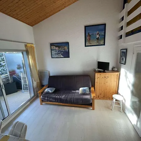 Apartament Studio Mezzanine Renove 4 Pers. A 50M Plage Avec Parking - Fr-1-224C-591