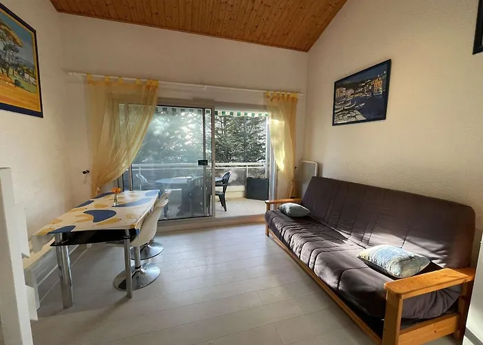 Apartamento Studio Mezzanine 4 Pers, Plage à 50m, Parking Privé - FR-1-224C-591 *